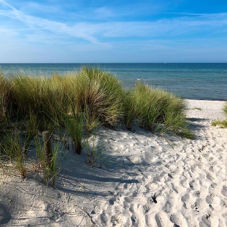 Daenische Ferienhaeuser Am Salzhaff Haus Pacific Poel Eksteriør billede
