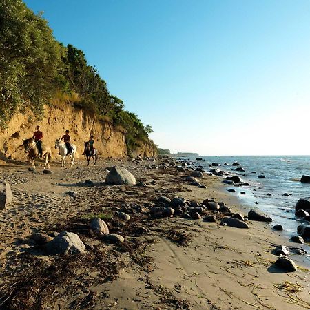 Daenische Ferienhaeuser Am Salzhaff Haus Pacific Poel Eksteriør billede